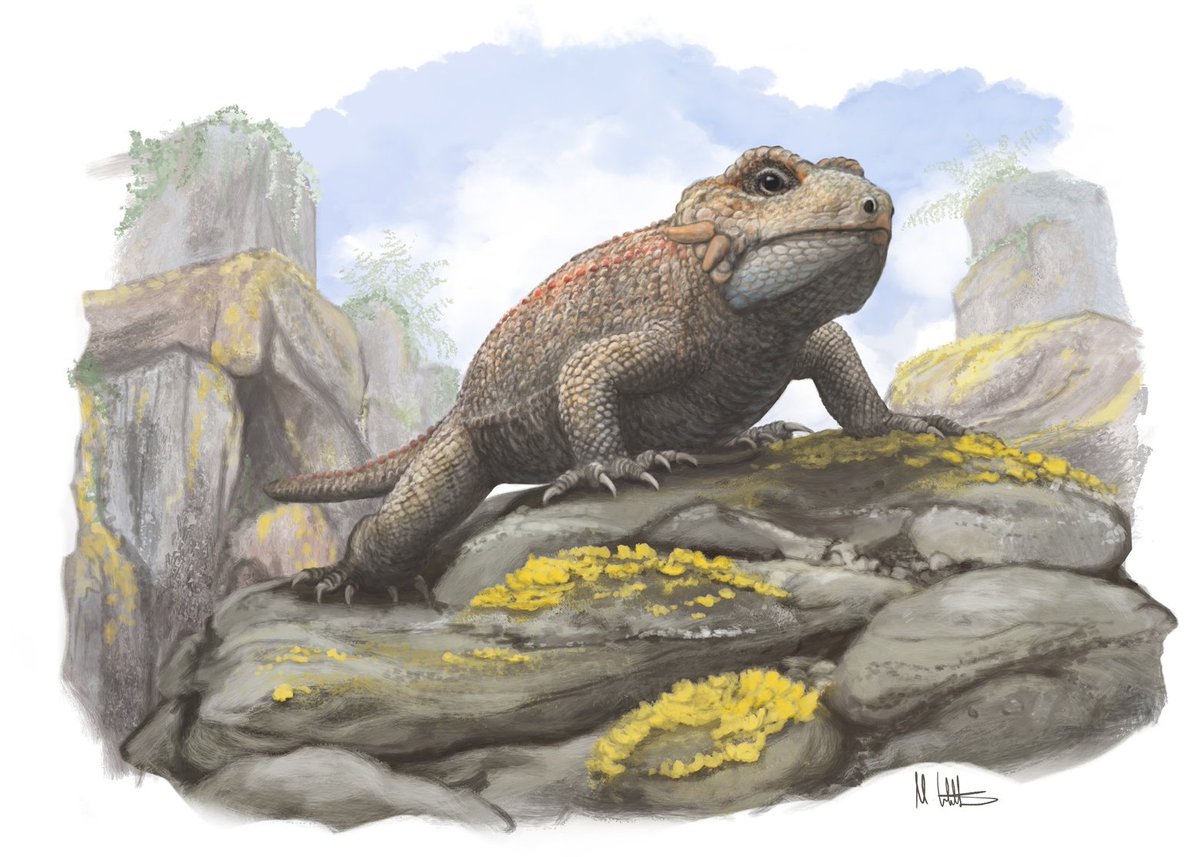 Luke Meade tweet media