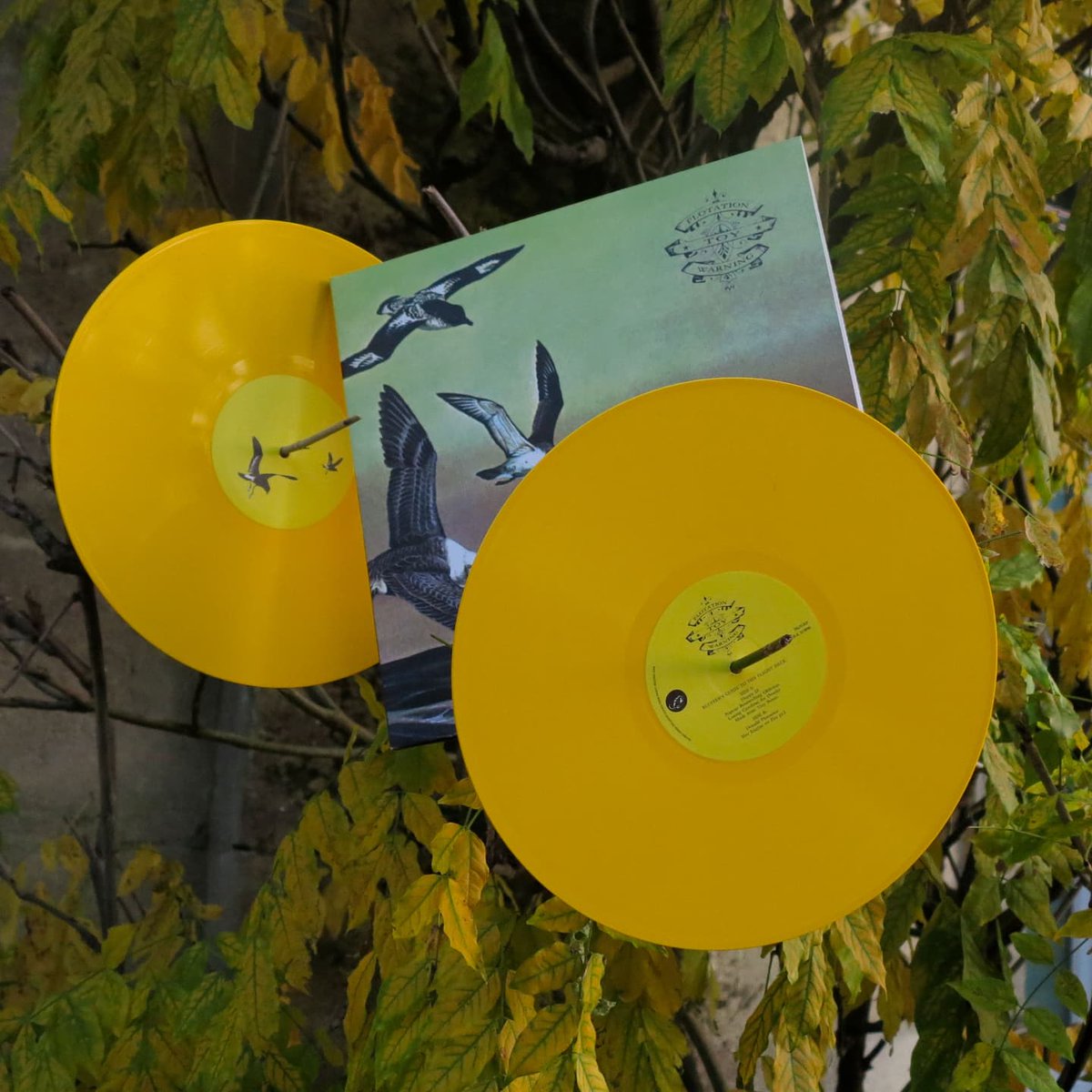 FlotationToy's tweet image. It's Bandcamp Friday!
All money to the artists today. So if you buy this lovely 20th Anniversary Limited Edition yellow vinyl pressing of Bluffer's Guide to the Flight Deck, we might be able to afford a cup of tea.
Bandcamp: bit.ly/ftw2024bcp