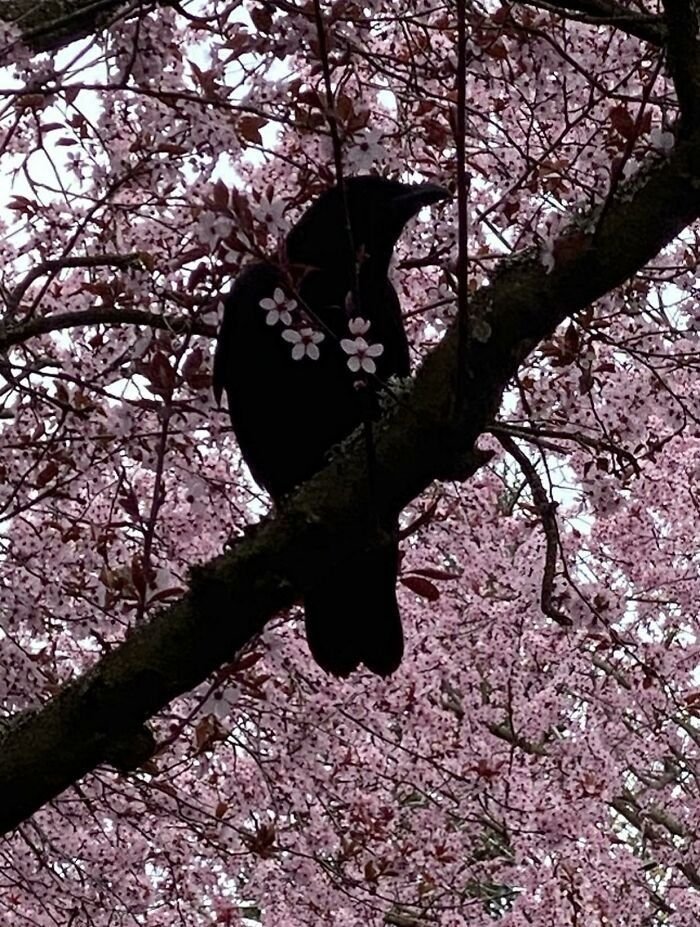 hakaelll's tweet photo. https://t.co/2UeHEtjBtW