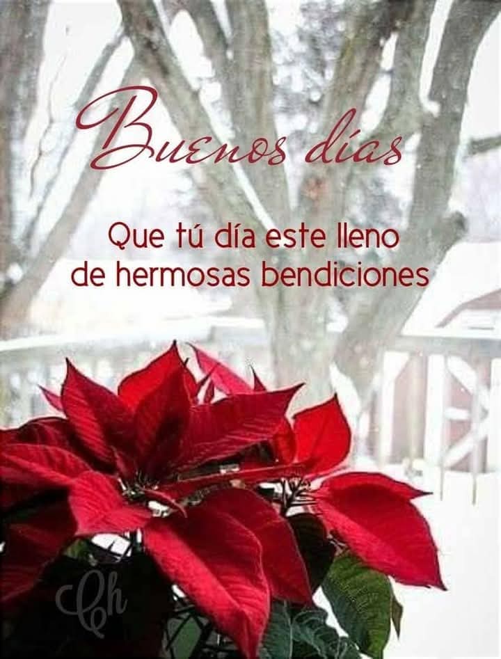 EngelLety's tweet photo. Buen día gente bonita! 🎅🎄🕉☯️😃🙏🎶🫶🏻 https://t.co/F8XTPYfJn9