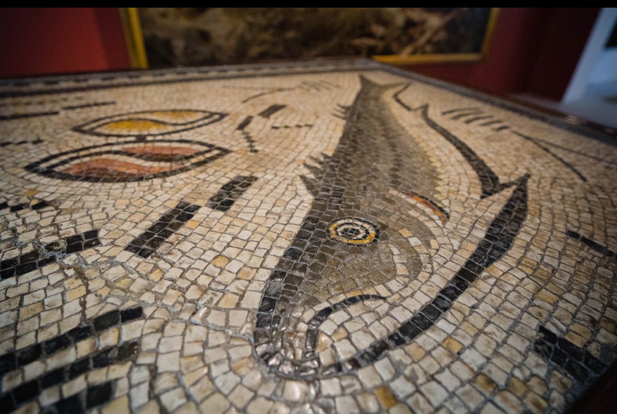 APanxon's tweet image. Misión cumplida. El mosaico ya está en España. Joya del patrimonio arqueológico gallego, en las próximas semanas será cedido al Concello de Nigrán para su exposición pública.