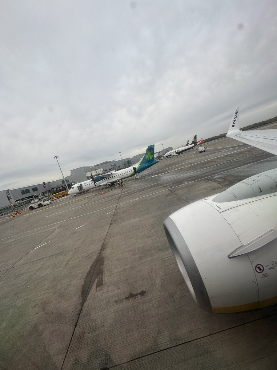 Steven Mitchell tweet media