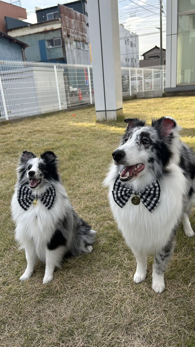 ブラザーズ
エトちゃんと再会
なんだか通じあってる🤭