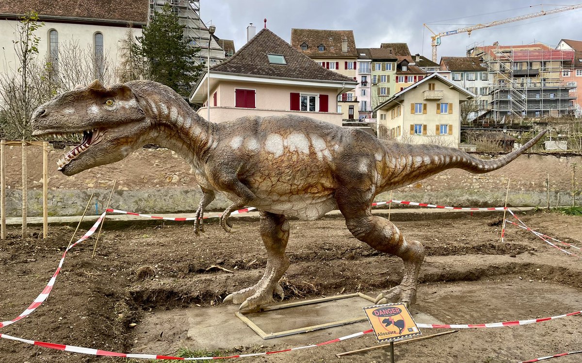 Fossil Friday is the perfect time to introduce the newest member of the <a href="/JURASSICAMuseum/">JURASSICA</a> family! 🦖
#FossilFriday #Jurassic