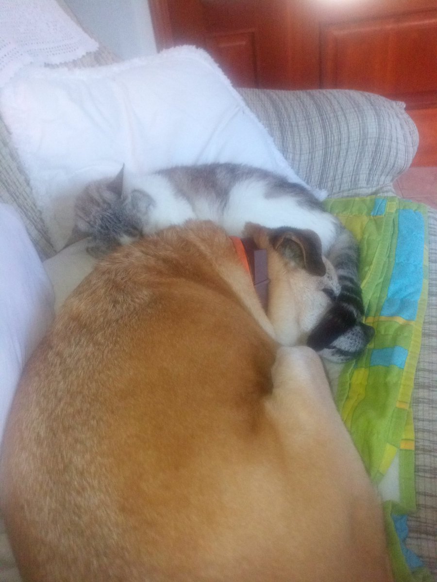 Sonia ✊🍉 tweet media