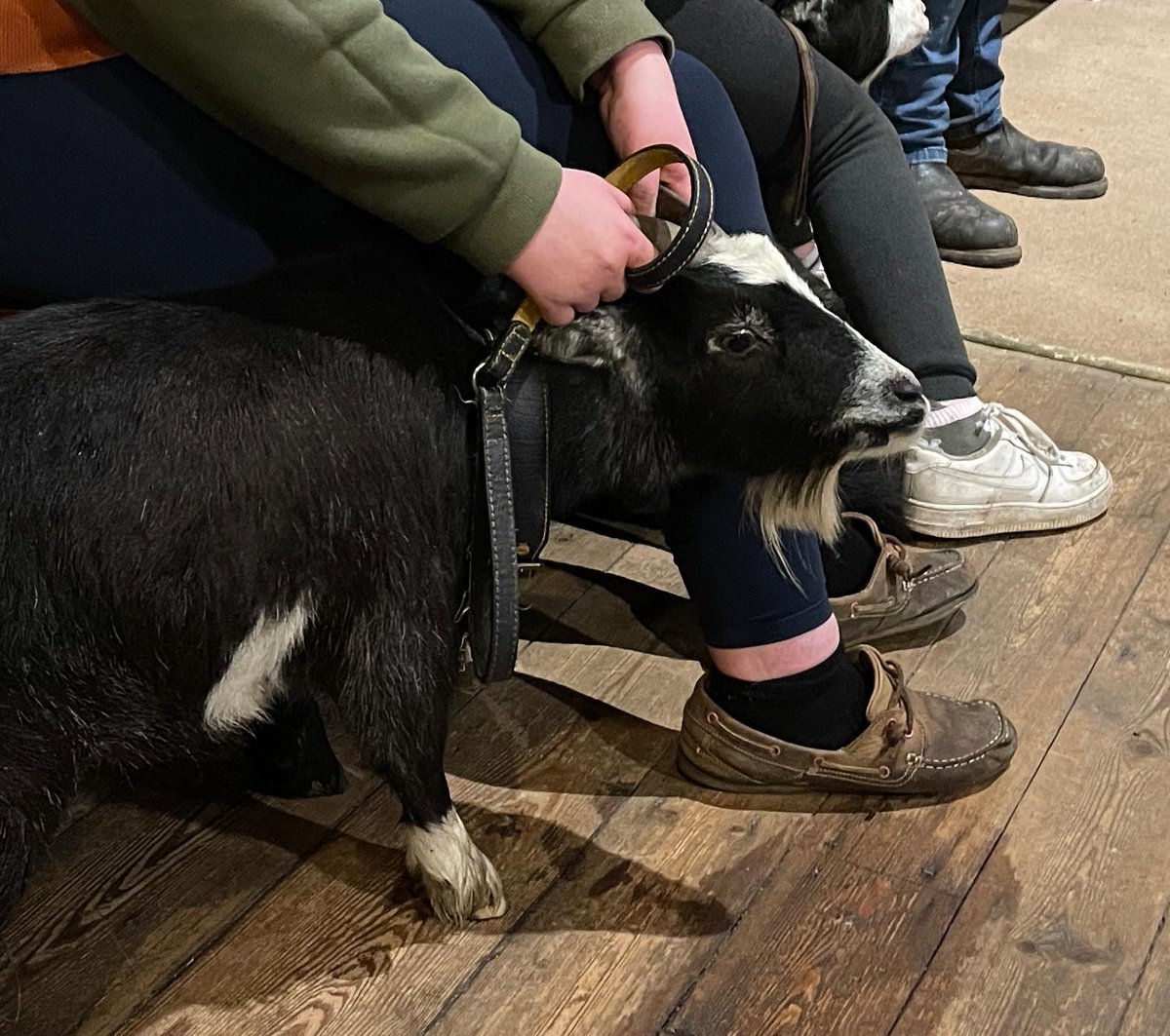 Mirfield Team Parish tweet media