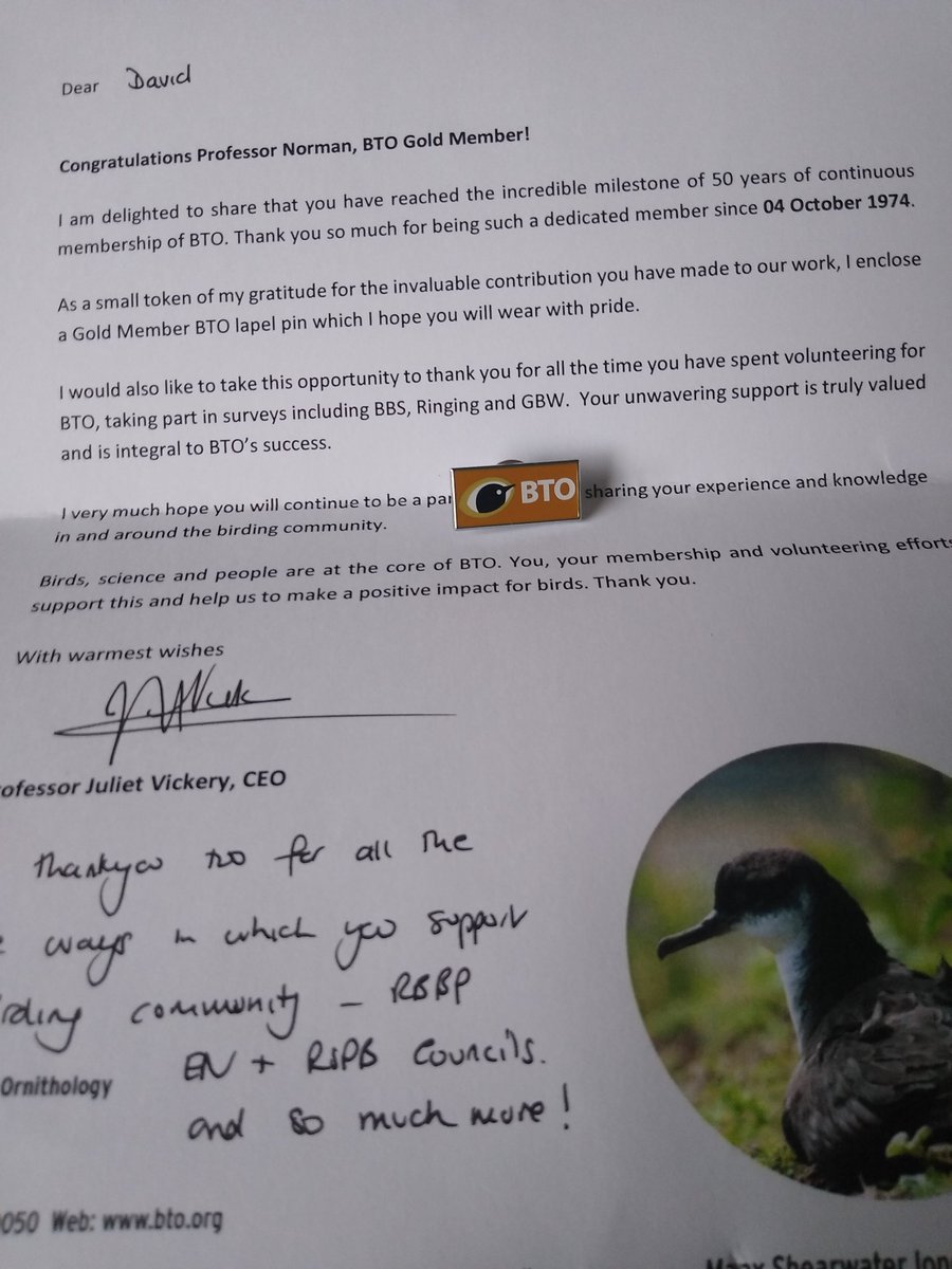 David Norman tweet media