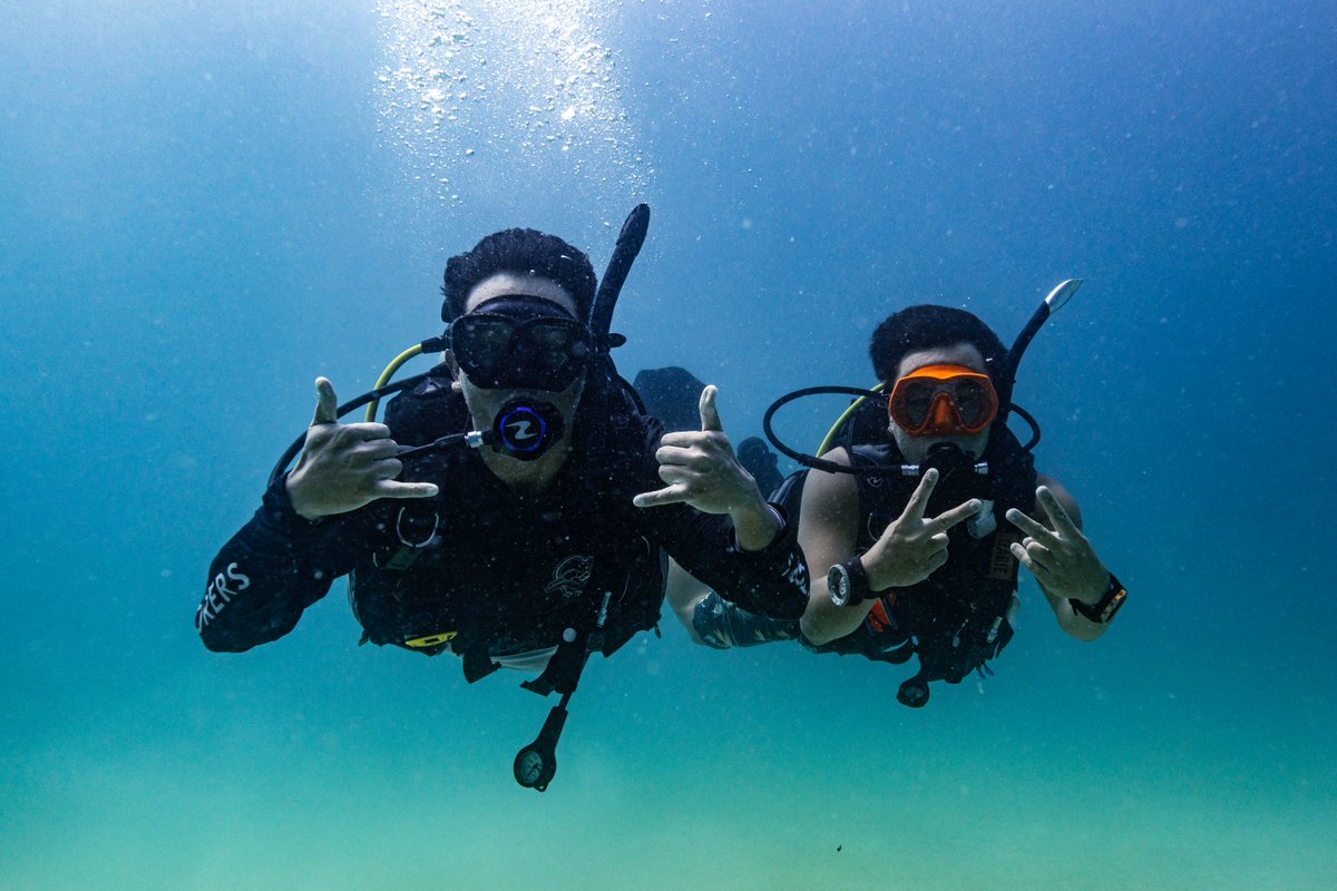 blackturtledive's tweet photo. We offer a variety of experience programs suitable for all ages and perfect for beginners and families who want to build their confidence plus experience and explore the amazing marine environment. https://t.co/08MZI1X1O2 #Kohtao #Diving #Fundiving https://t.co/Ev2TaJXMaa