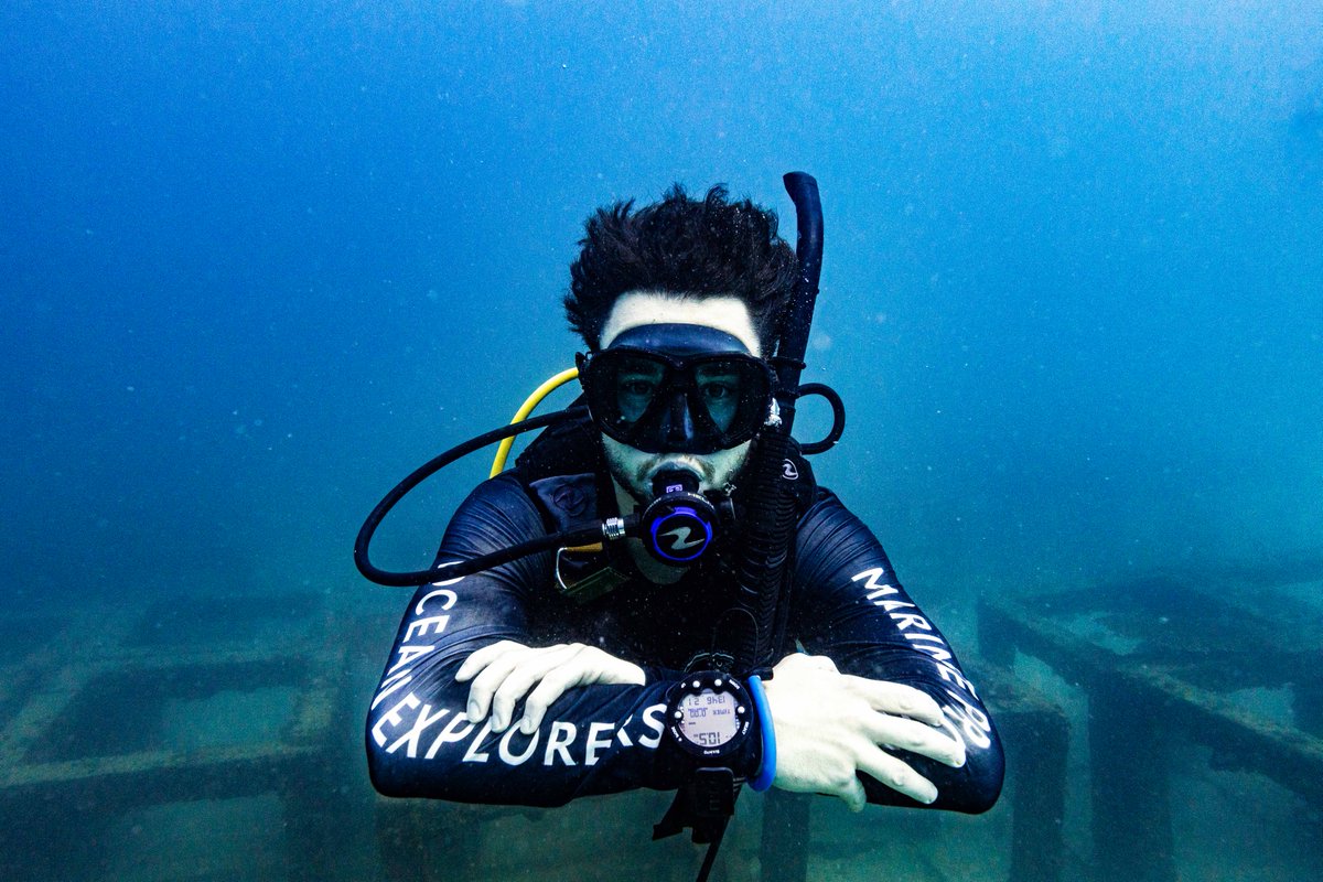 blackturtledive's tweet photo. We offer a variety of experience programs suitable for all ages and perfect for beginners and families who want to build their confidence plus experience and explore the amazing marine environment. https://t.co/08MZI1X1O2 #Kohtao #Diving #Fundiving https://t.co/Ev2TaJXMaa