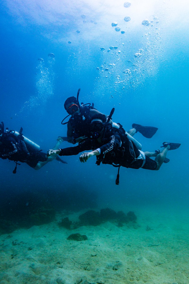 blackturtledive's tweet photo. We offer a variety of experience programs suitable for all ages and perfect for beginners and families who want to build their confidence plus experience and explore the amazing marine environment. https://t.co/08MZI1X1O2 #Kohtao #Diving #Fundiving https://t.co/Ev2TaJXMaa