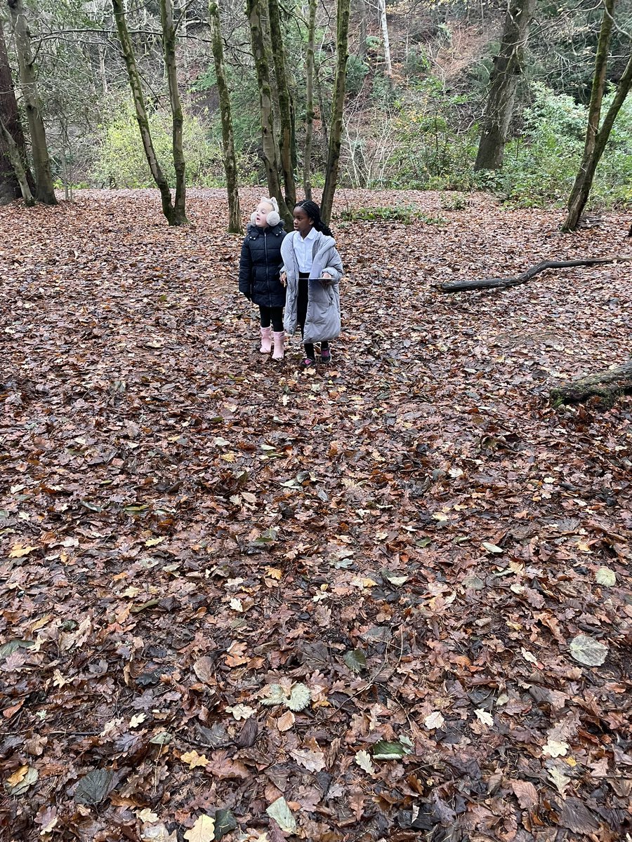 LauriestonP4's tweet photo. Yesterday, we enthusiastically participated in our Maths Christmas Challenge. Working collaboratively with P3 and P3/4 during outdoor learning. https://t.co/7BQp08FWIQ