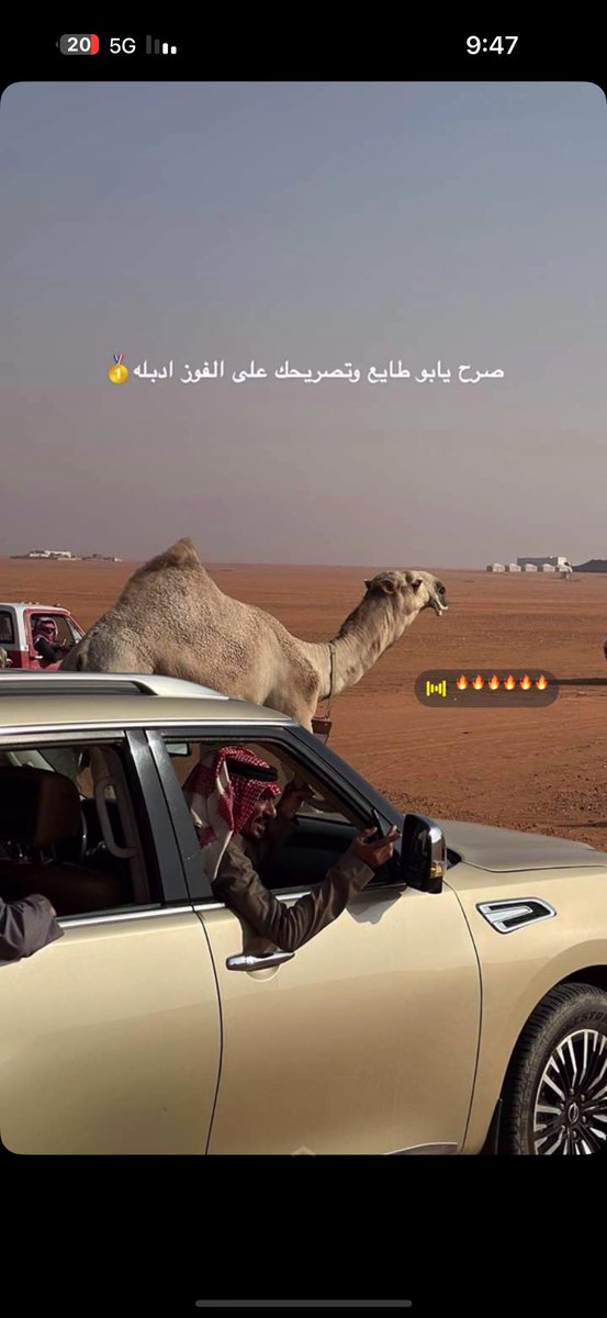 abdulziz116's tweet photo. '
مشاركة مالك الابل / جميل بن طايع العقيلي 

في شوط فردي دق قعدان شقح 

#مهرجان_الملك_عبدالعزيز_للابل9 https://t.co/OMTpVdZTg6