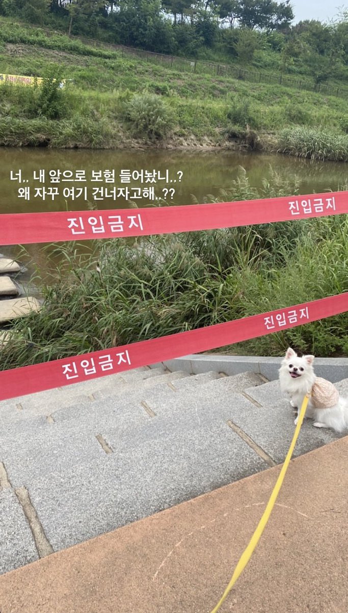 빅터랑 카개
카개 본인은 넘는 거 쌉가능
빅터랑 나들이 나온 거라 그냥 신낫음