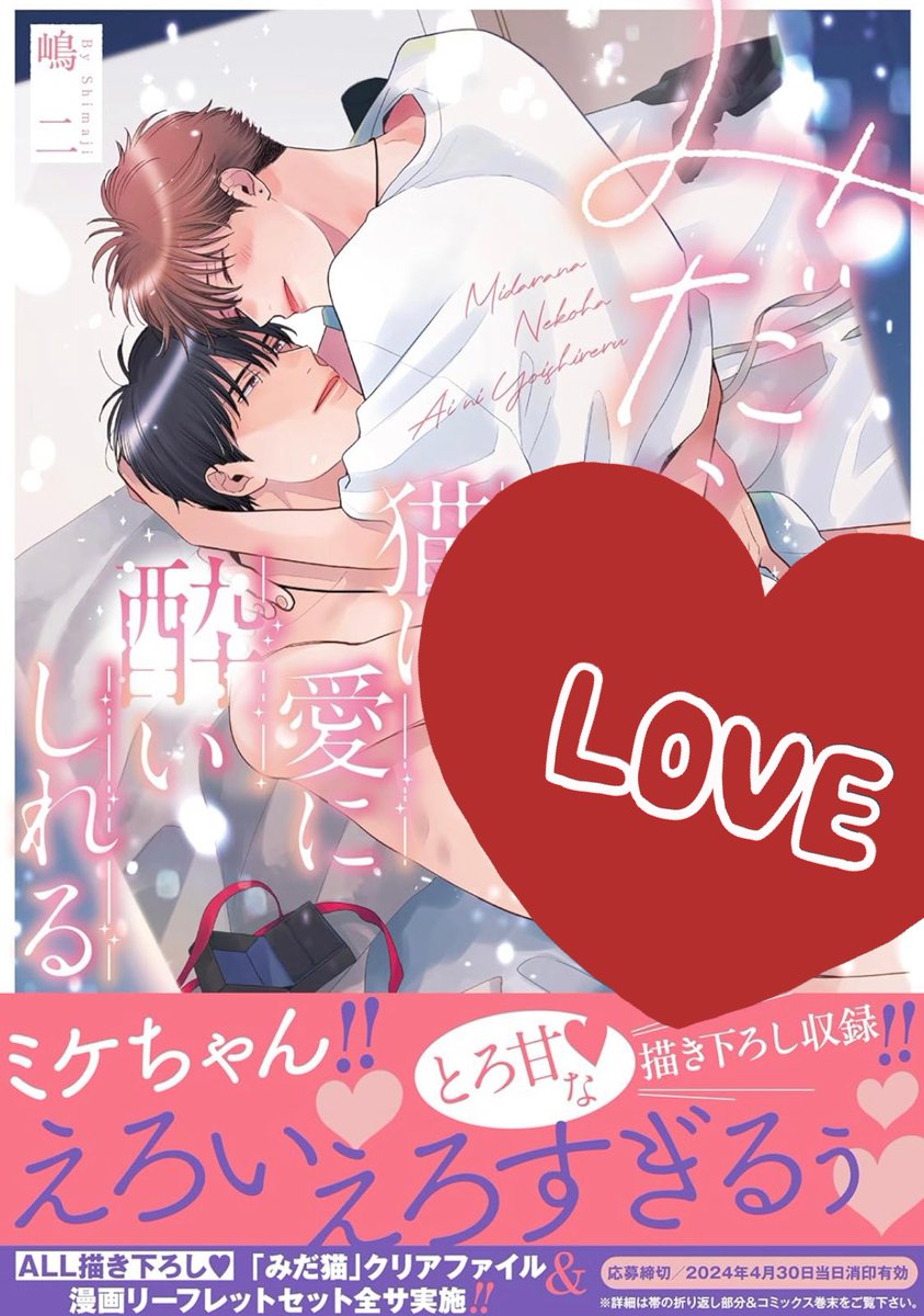 ちるちるさんの #BLアワード2025 
当作品も対象作品なのでぜひ応援よろしくお願いします〜!!

3作品あります👇
『#みだらな猫は愛に酔いしれる』
『#東京ミドル倶楽部③』
『#探しものは愛ですか?』

探しものは〜まだ発売されてないけど…笑😂

#BLアワード2025ノミネート祈願 