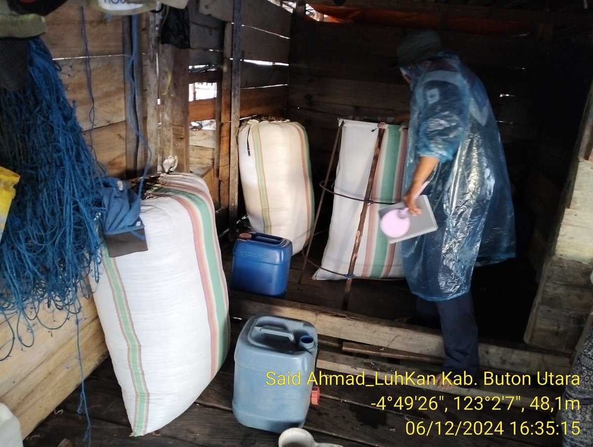 SaidAhmadSri1's tweet photo. Jumat, 06/12/2024, Said Ahmad LuhKan Kab. Buton Utara. Monitoring hasil penen Rumput Laut Eucemma cottoni Pak Sanuru sekitar 240 kg dengan harga Jual Rp. 13.000/kg kering di Kel. Bone Lipu Kec. Kulisusu
#GiatLuhKanSatminkalMaros
#luhlapor
#BRPBAP3_MAROS
#brsdm_kp https://t.co/H99Dv8HXkB