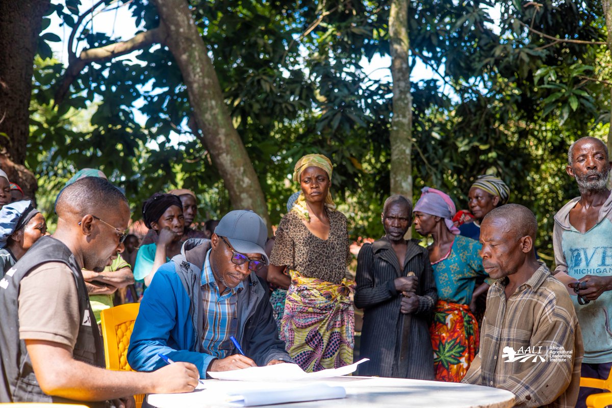 aaliofficiel's tweet photo. #BLOCKFARMING: Currently expanding into three zones in eastern DRC!

With a giant leap forward, Block Farming, an inclusive agribusiness model, is attracting more interest from the #privatesector in #SouthKivu province. After Minova and Walungu, we are now implementing the model with a new partner: “Ferme @MarcMalago.
 With this partner, we will support over 400 identified small-scaleproducers, empowering them in best agribusiness practices and facilitating their access to land, high-performance agricultural technologies, and the market.
The aim is to help them access better production opportunities, thus strengthening #foodsecurity in the area.