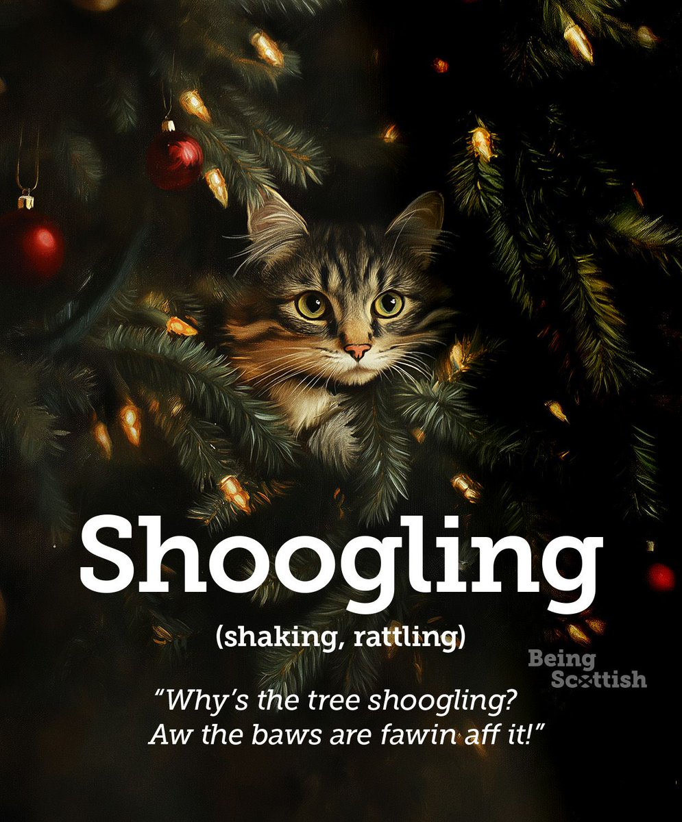 If ye've got a shoogly tree, chances are your beloved pet is up tae nae good 😆🌲