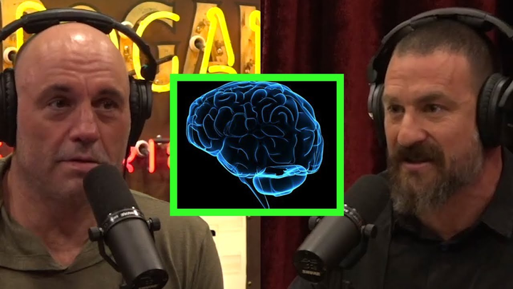 Joe Rogan has had the world’s top health experts on his podcast.

They’ve revealed some mind-blowing facts that 99% of people wouldn’t know.

Here are my top 8: