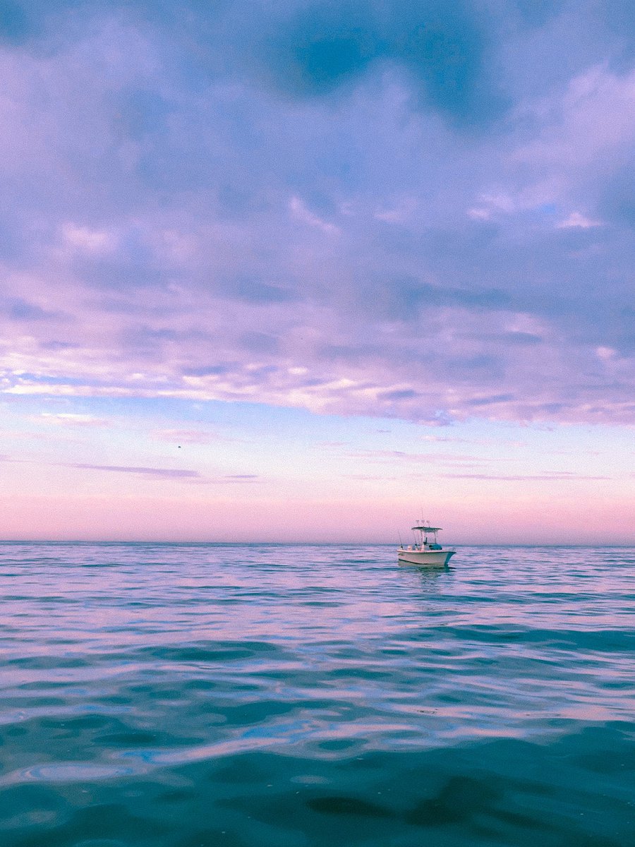 nev_in_color's tweet photo. drifting in a dream. https://t.co/9zaJTMPUlU