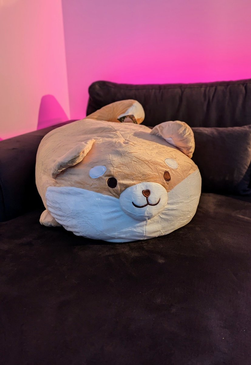 JesseyDog's tweet photo. Look at this goober!!!
His name is Big Mac! 

@ArilinSmells surprised me with this early Christmas gift.  THANK YOU SOO MUCH HONEY! I LOVE HIM! 
🩷🩷🩷🩷 https://t.co/bMeYU83ApN