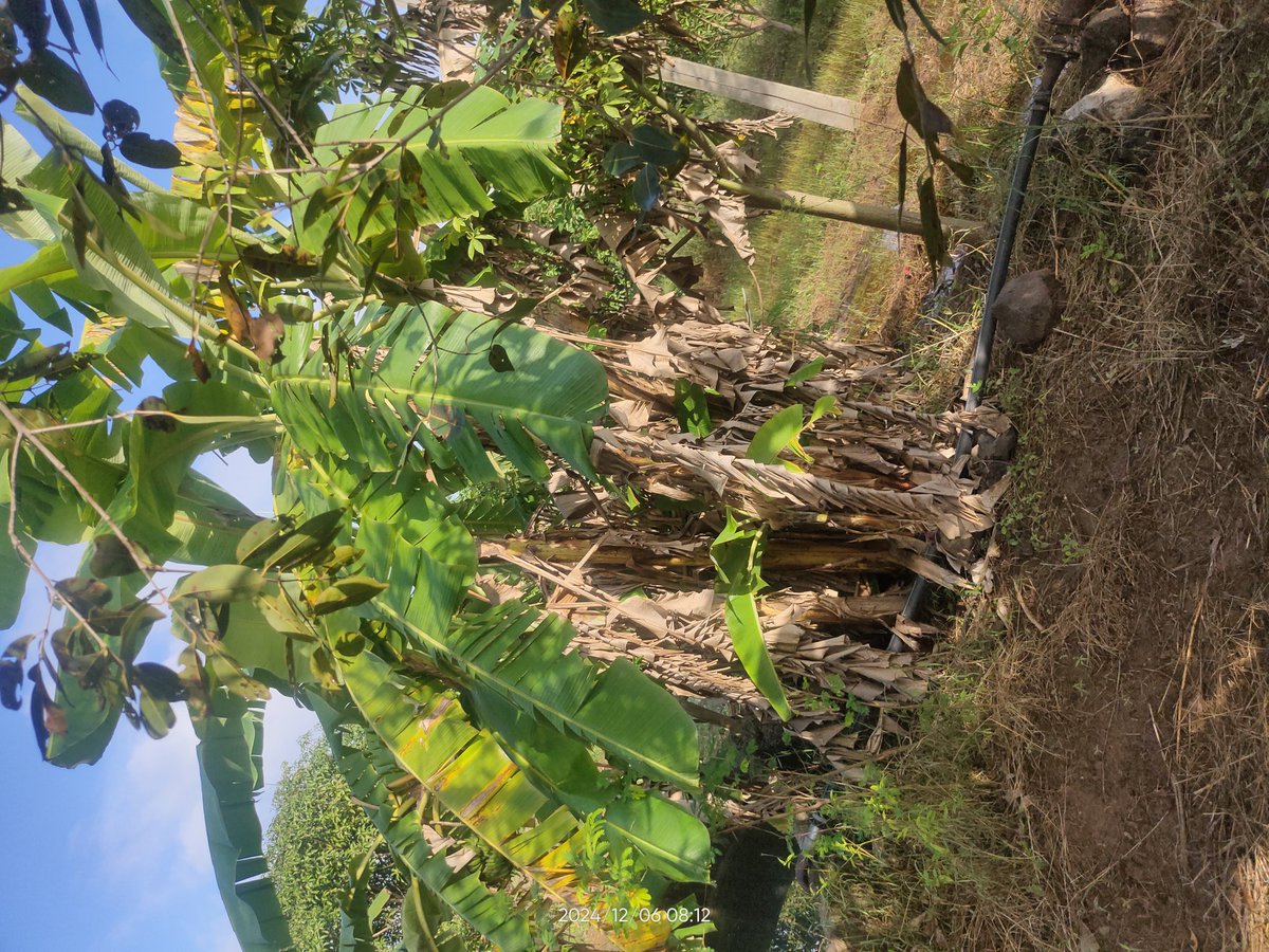 MargamFarm's tweet photo. https://t.co/Nz5vfjXXg9