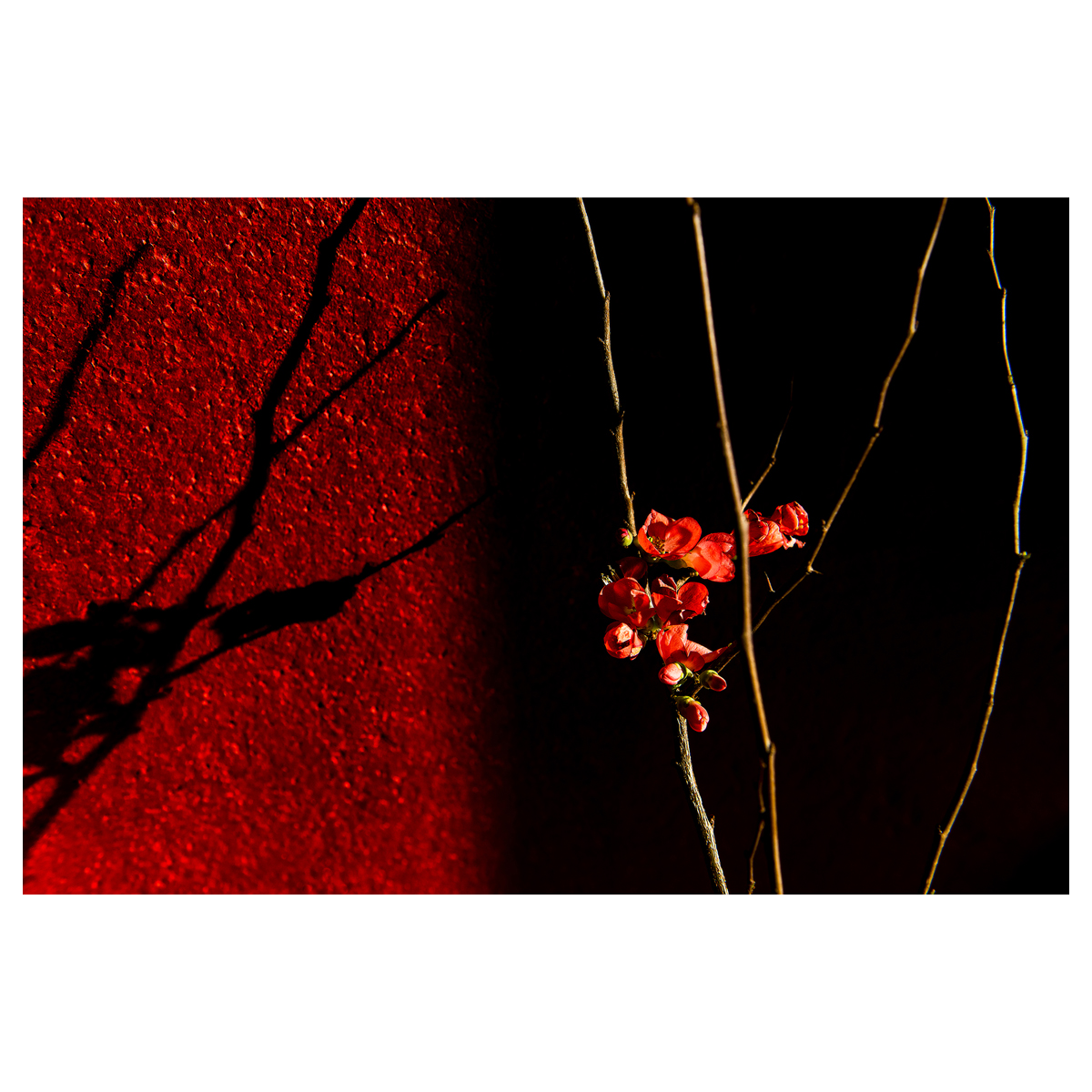 DISCOVERY ART FAIR tweet media