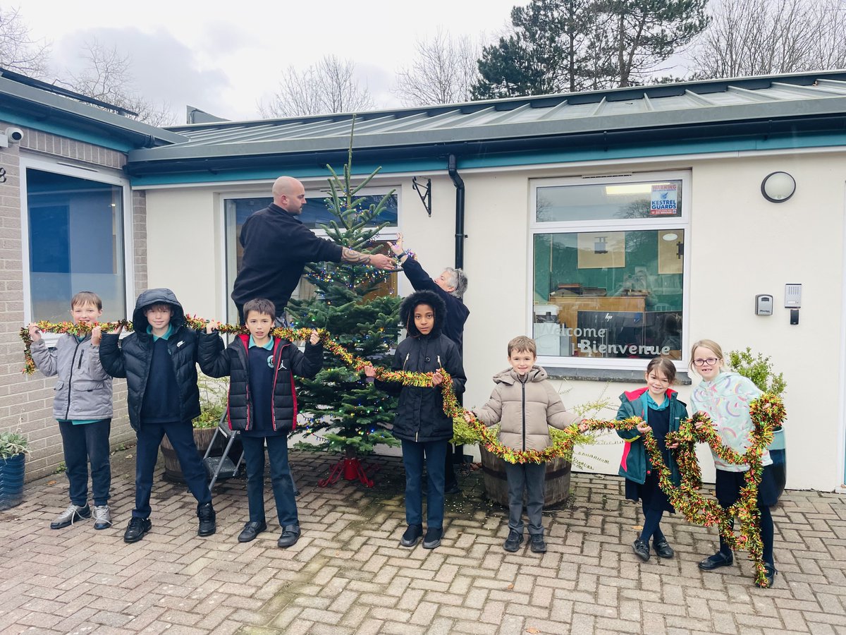 The festive season is starting... We might have to bring the tree indoors this weekend though! 🎄🎄#TeamTregolls