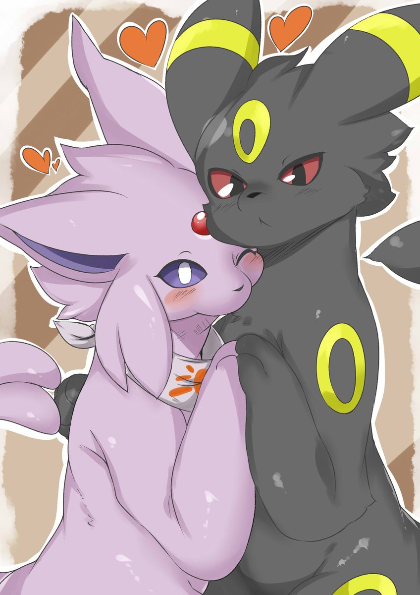 エーフィとブラッキー/載活 