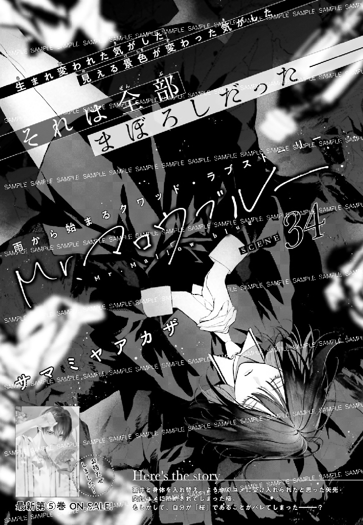 心に闇と悲しみを抱えた者たちが 偶然出会い、
そして、数奇な物語が始まる。
生まれ変わった気がした。
見える景色が変わった気がした。
でも、それは全部まぼろしだった。
「Mr.マロウブルー」サマミヤアカザ