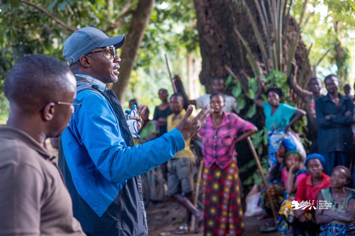 aaliofficiel's tweet photo. #BLOCKFARMING: Currently expanding into three zones in eastern DRC!

With a giant leap forward, Block Farming, an inclusive agribusiness model, is attracting more interest from the #privatesector in #SouthKivu province. After Minova and Walungu, we are now implementing the model with a new partner: “Ferme @MarcMalago.
 With this partner, we will support over 400 identified small-scaleproducers, empowering them in best agribusiness practices and facilitating their access to land, high-performance agricultural technologies, and the market.
The aim is to help them access better production opportunities, thus strengthening #foodsecurity in the area.