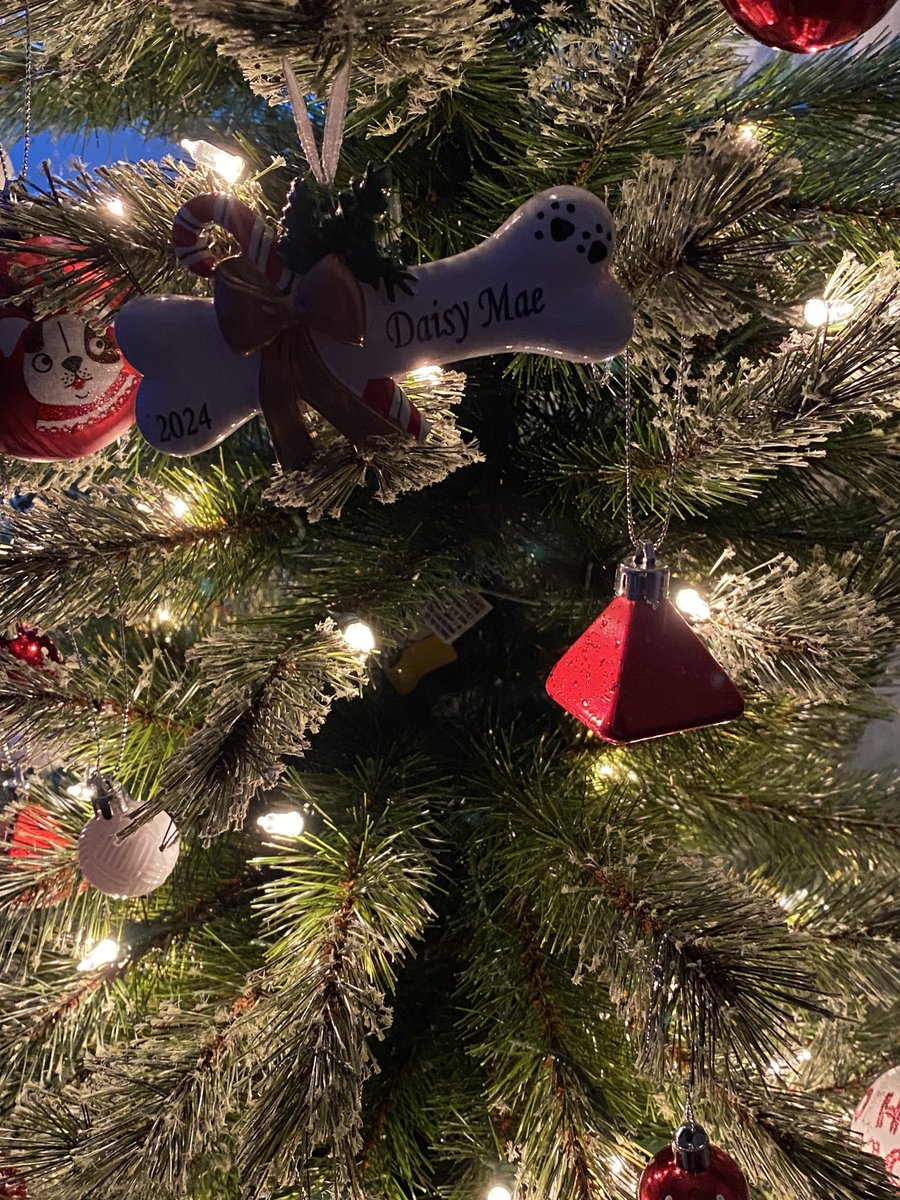 DaisyMaeJack's tweet photo. Happy Friyay! ๐my bestie and my boyfren @BelleLBear sent me da most bootiful Chrismassy ornament! ๐ฅฐ. Thank yous frens! We will cherish it furever! Stay warm! Super cold here ๐ฅถ๐พโฅ๏ธ๐๐๐
๐ผ #besties #boyfren #dogsofX #Christmas2024 https://t.co/VQ29MxQoTD