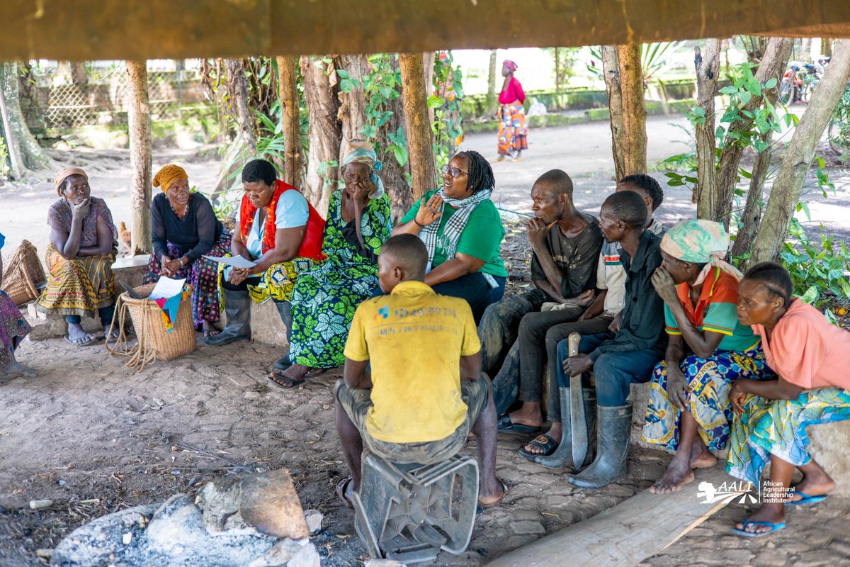 aaliofficiel's tweet photo. #BLOCKFARMING: Currently expanding into three zones in eastern DRC!

With a giant leap forward, Block Farming, an inclusive agribusiness model, is attracting more interest from the #privatesector in #SouthKivu province. After Minova and Walungu, we are now implementing the model with a new partner: “Ferme @MarcMalago.
 With this partner, we will support over 400 identified small-scaleproducers, empowering them in best agribusiness practices and facilitating their access to land, high-performance agricultural technologies, and the market.
The aim is to help them access better production opportunities, thus strengthening #foodsecurity in the area.