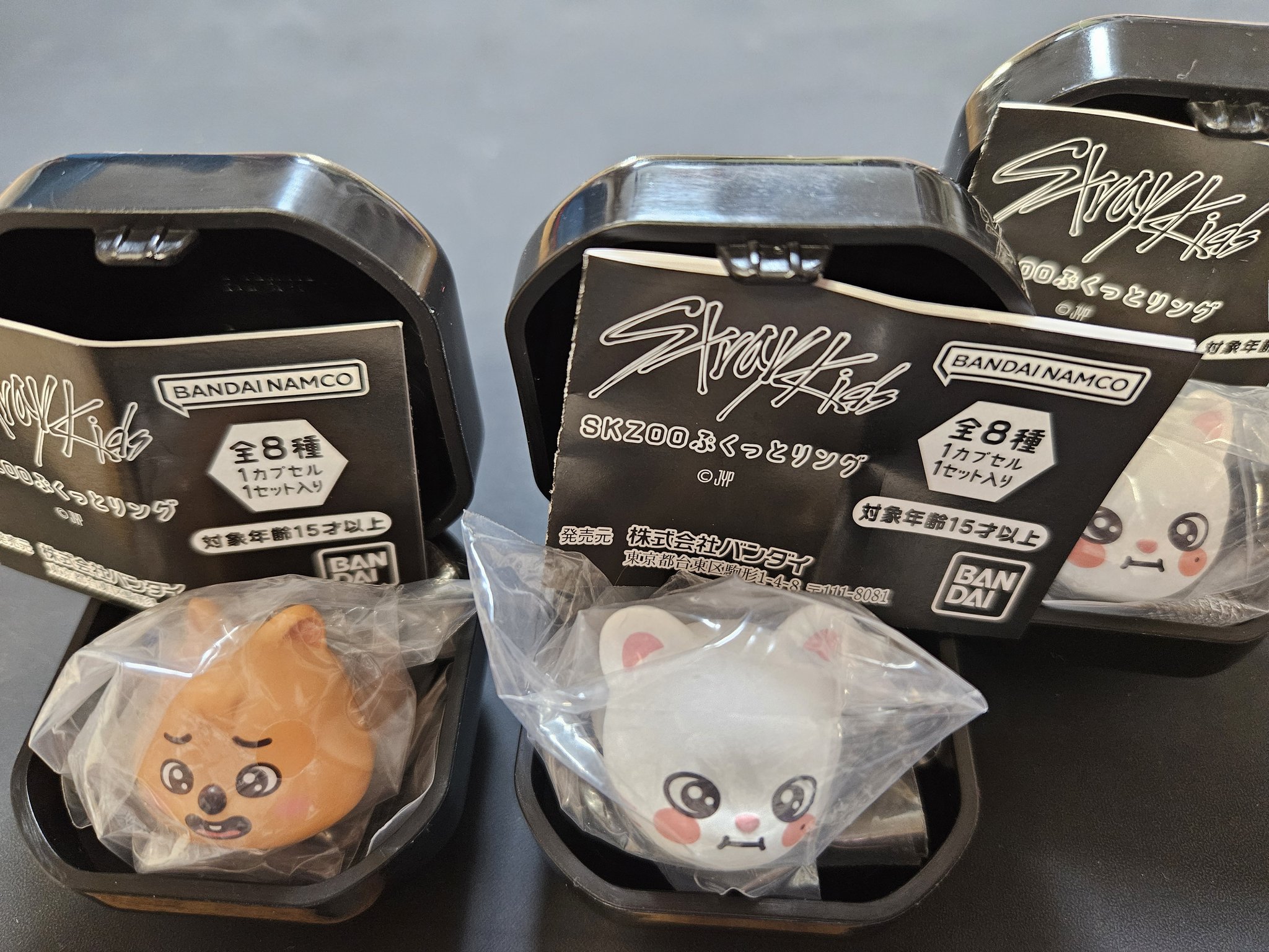 straykids スキズ フォクシニー アイエン ブランケット ビビる
