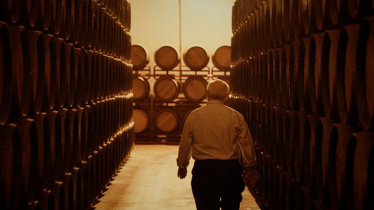 VisitaTomelloso's tweet photo. La barrica es mucho más que un recipiente. Es el hogar donde nuestros vinos se transforman, adquiriendo aromas y sabores que solo el paso del tiempo y la madera pueden otorgar. En Tomelloso, cada barrica cuenta una historia, una historia que se refleja en cada copa. https://t.co/gvzfJCWjWr