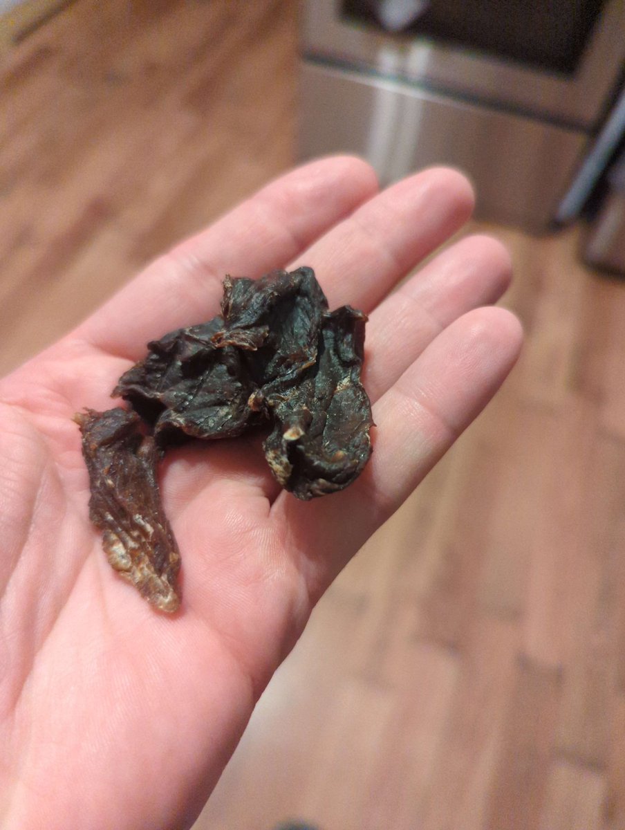 au69 🇦🇺 tweet media