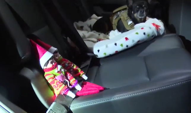 kwtx's tweet photo. 🎅OPERATION BAD ELF🎄Back by popular demand, the #CoryellCounty Constable has brought back ‘Operation Bad Elf’ to their community. 👀 INFO: https://t.co/YcMjdFto7a https://t.co/FYJj1Mfck3