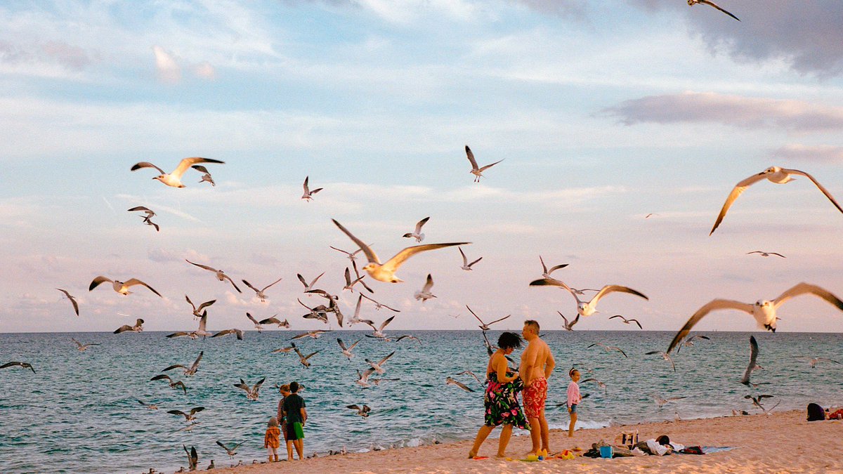 Nevin Johnson tweet media