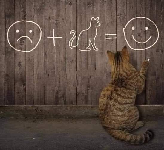 Neden bazen en ufak bir söze incinir insan bilir misiniz?

"Çünkü, o sözün sahibi çok kıymetlidir"
❤