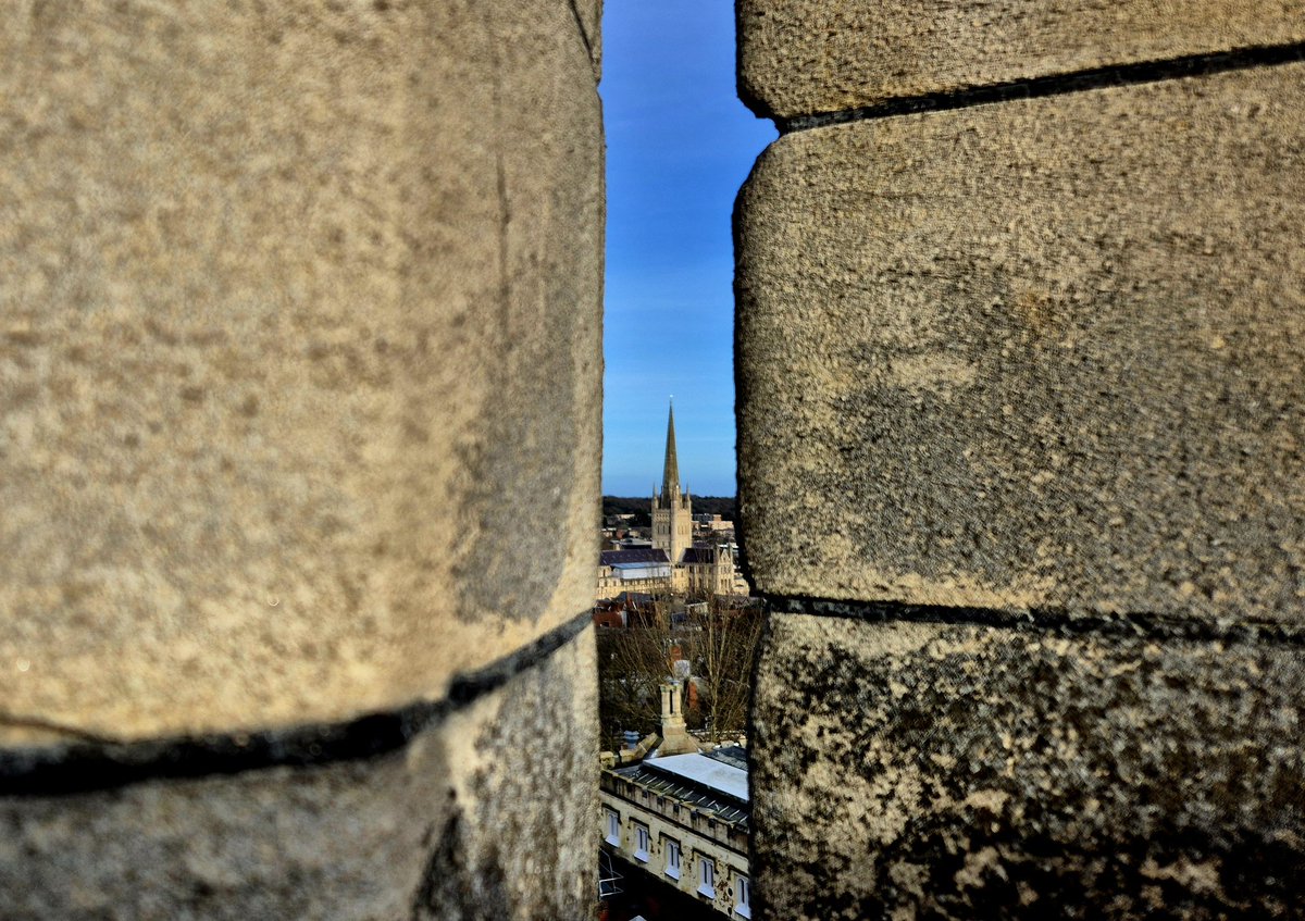 Rob Setchell tweet media