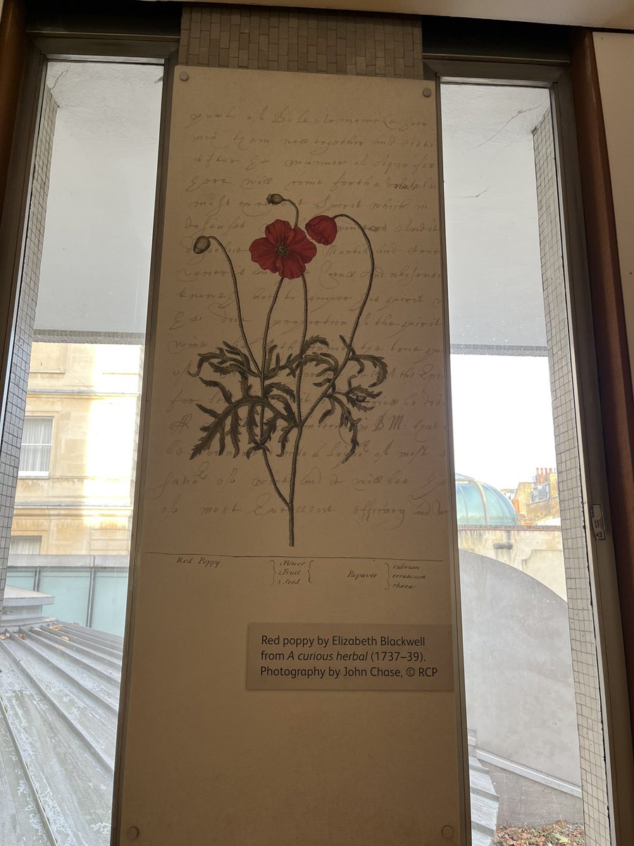 Mary Lynch☘️🇮🇪 (@midwifemarylyn) on Twitter photo Really enjoying this brilliant conference <a href="/M0MSuk/">MacDonald Obstetric Medicine Society (MOMS)</a> <a href="/RCPhysicians/">Royal College of Physicians</a> 🎄🎄#festive #MOMSLondon2024👏🏻👏🏻🤰🏻🩺🩻 Really enjoying this brilliant conference <a href="/M0MSuk/">MacDonald Obstetric Medicine Society (MOMS)</a> <a href="/RCPhysicians/">Royal College of Physicians</a> 🎄🎄#festive #MOMSLondon2024👏🏻👏🏻🤰🏻🩺🩻