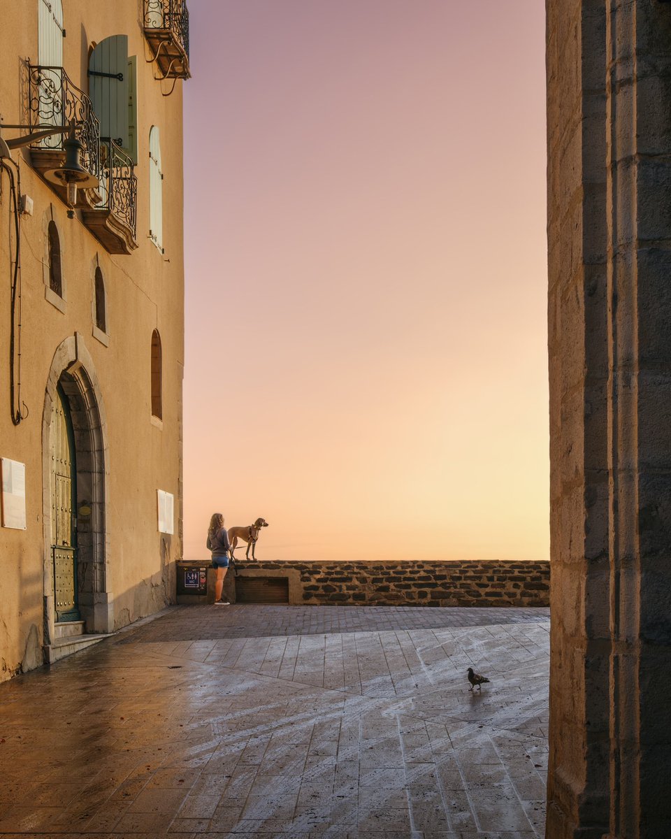 msubirats's tweet photo. Collioure, historia, mediterráneo y una luz que enamora 😍 #coilloure #france https://t.co/nF3LbxvTPz https://t.co/OGorJzyAjW