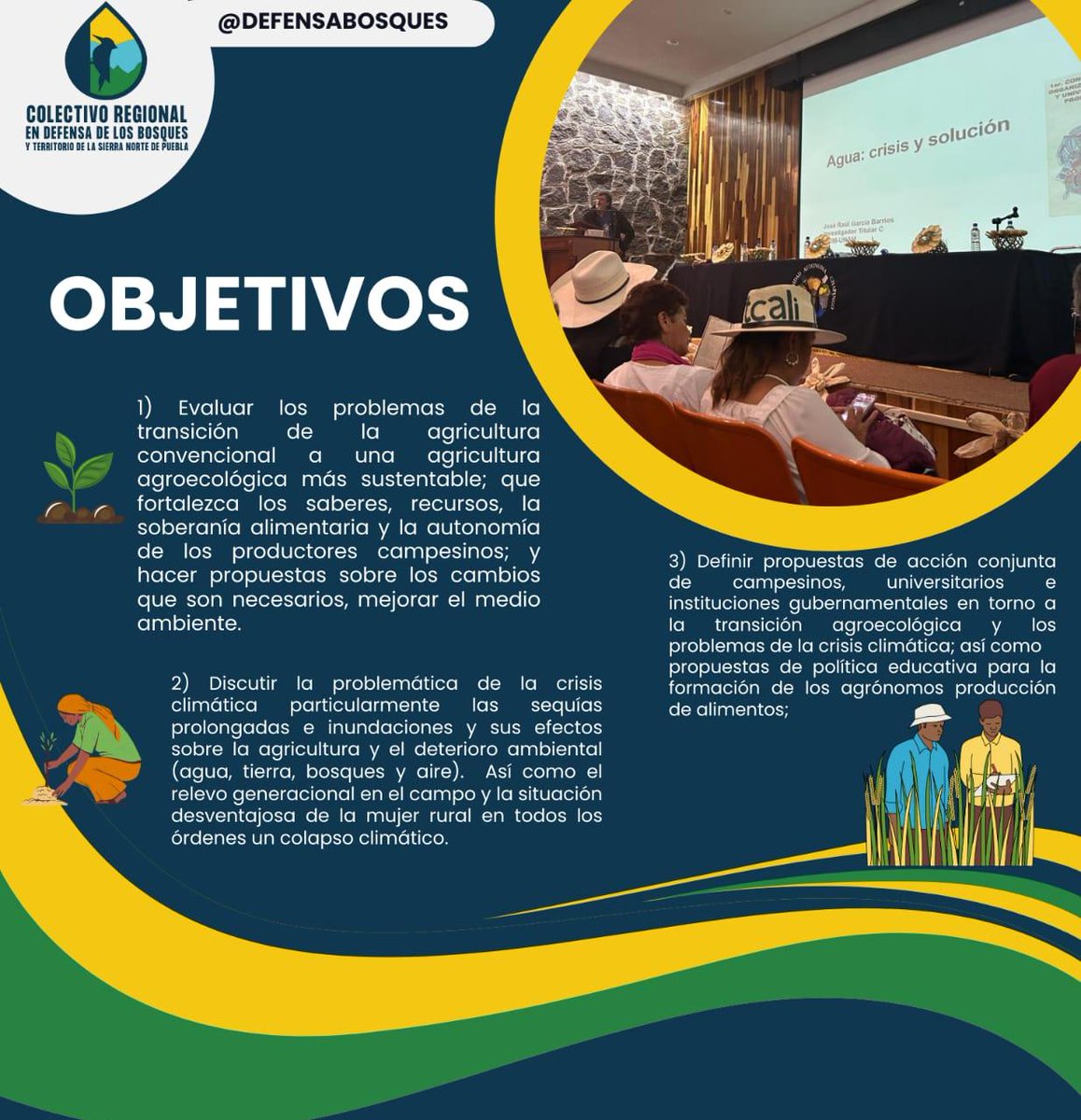 DefensaBosques's tweet photo. https://t.co/slLdfPoOCp