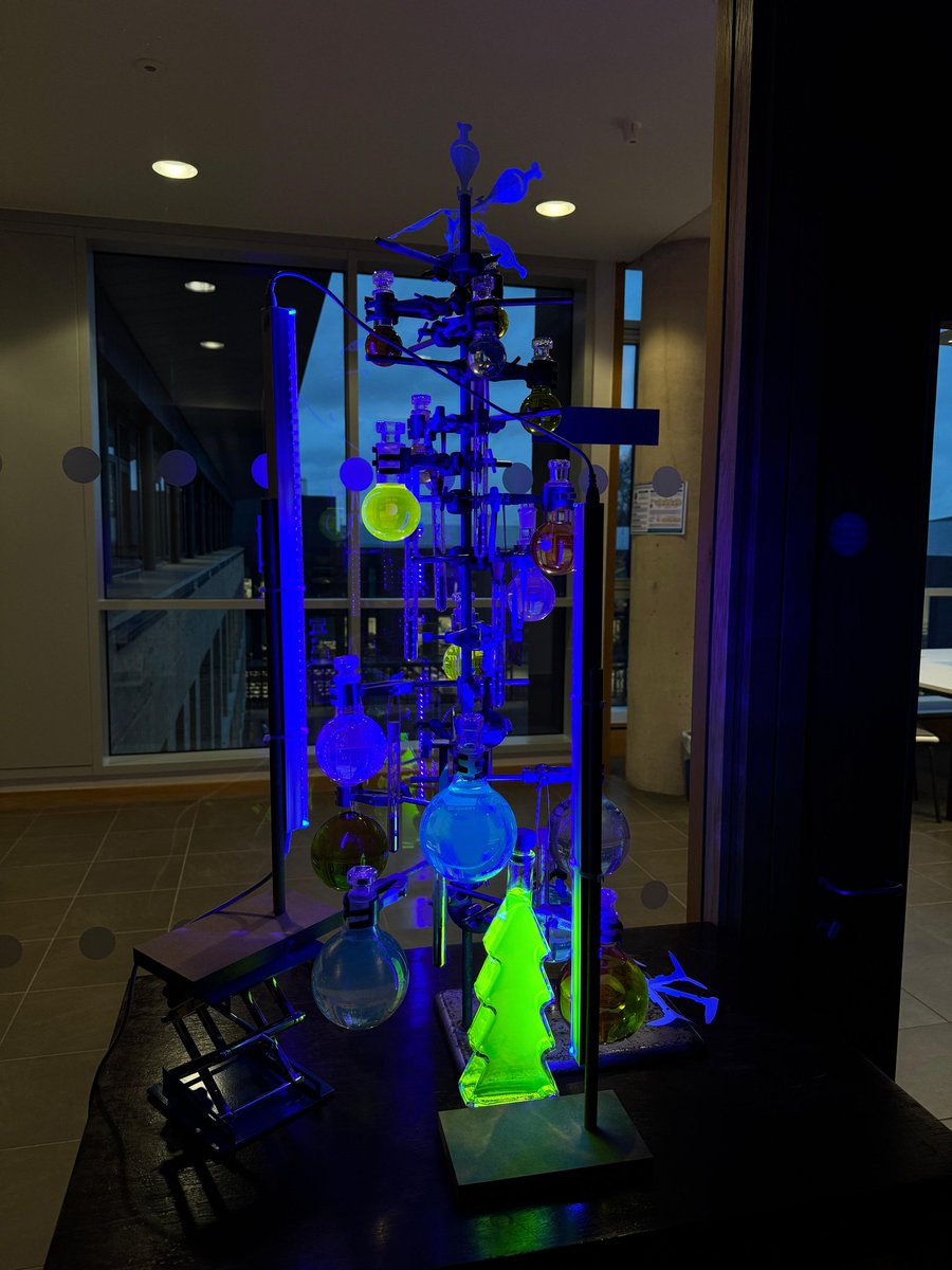 The fluorescent #chemistree is up &amp; it looks stunning! #FluorescenceFriday We ran a workshop with students making the glowing solutions out of common household substances. From Riboflavin in vitamin B2, chlorophyll from spinach to protoporphyrin IX in brown egg shells.