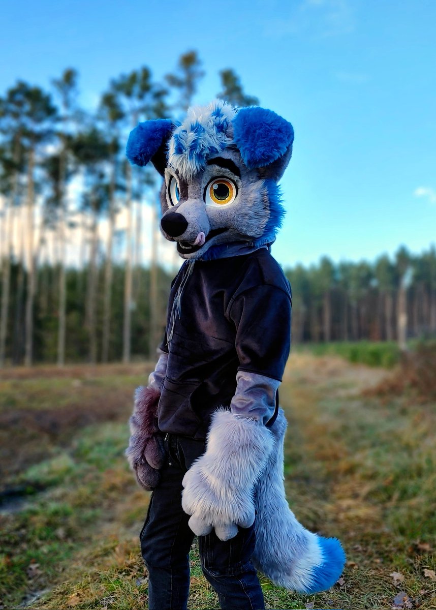 Hi everyone, it's my first #fursuitfriday with my fursuit
I love my fursuit so much🥰
I wish everyone a nice day❤️
.
.
#furrywolf #furries #furry #fursuiter #fursuit