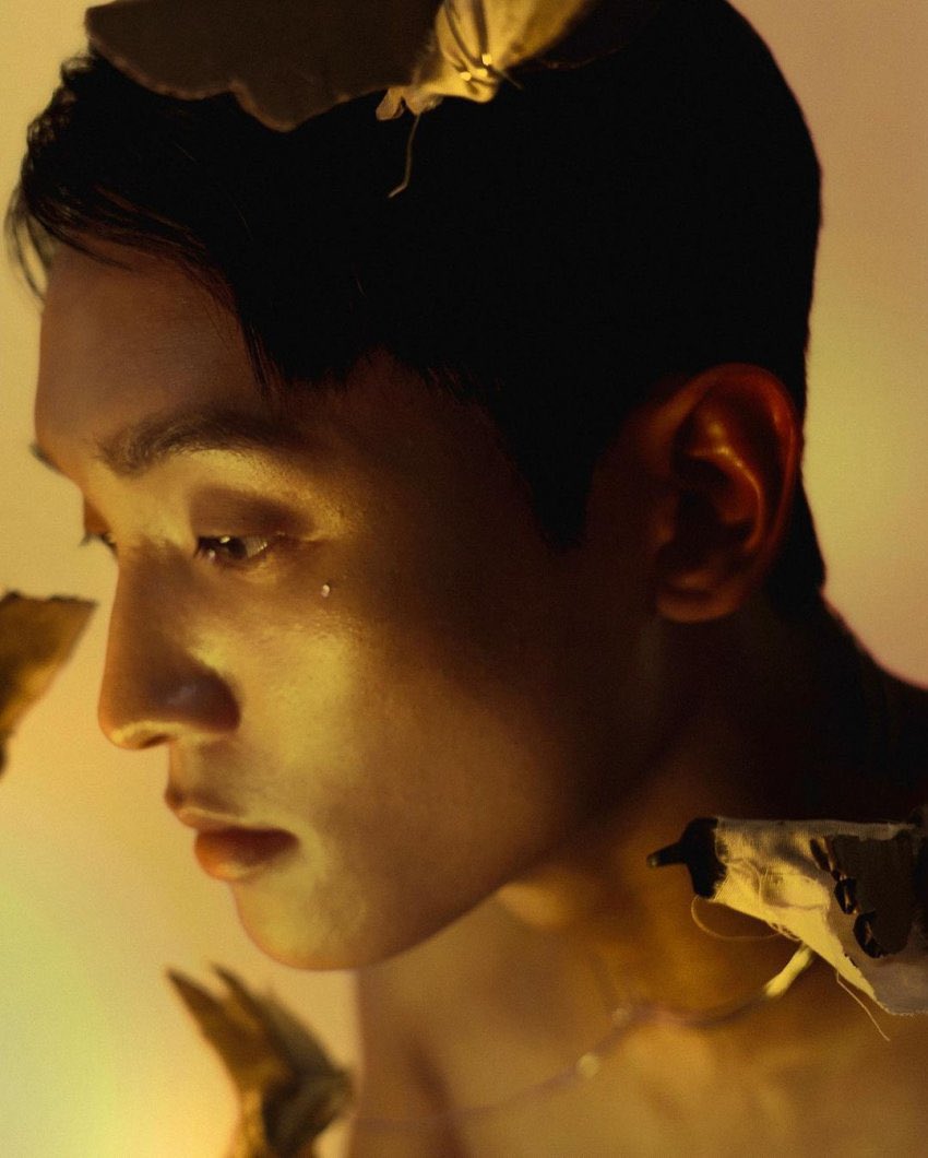 박찬욱 영화미 있는 호종을 모아모아…Translate post