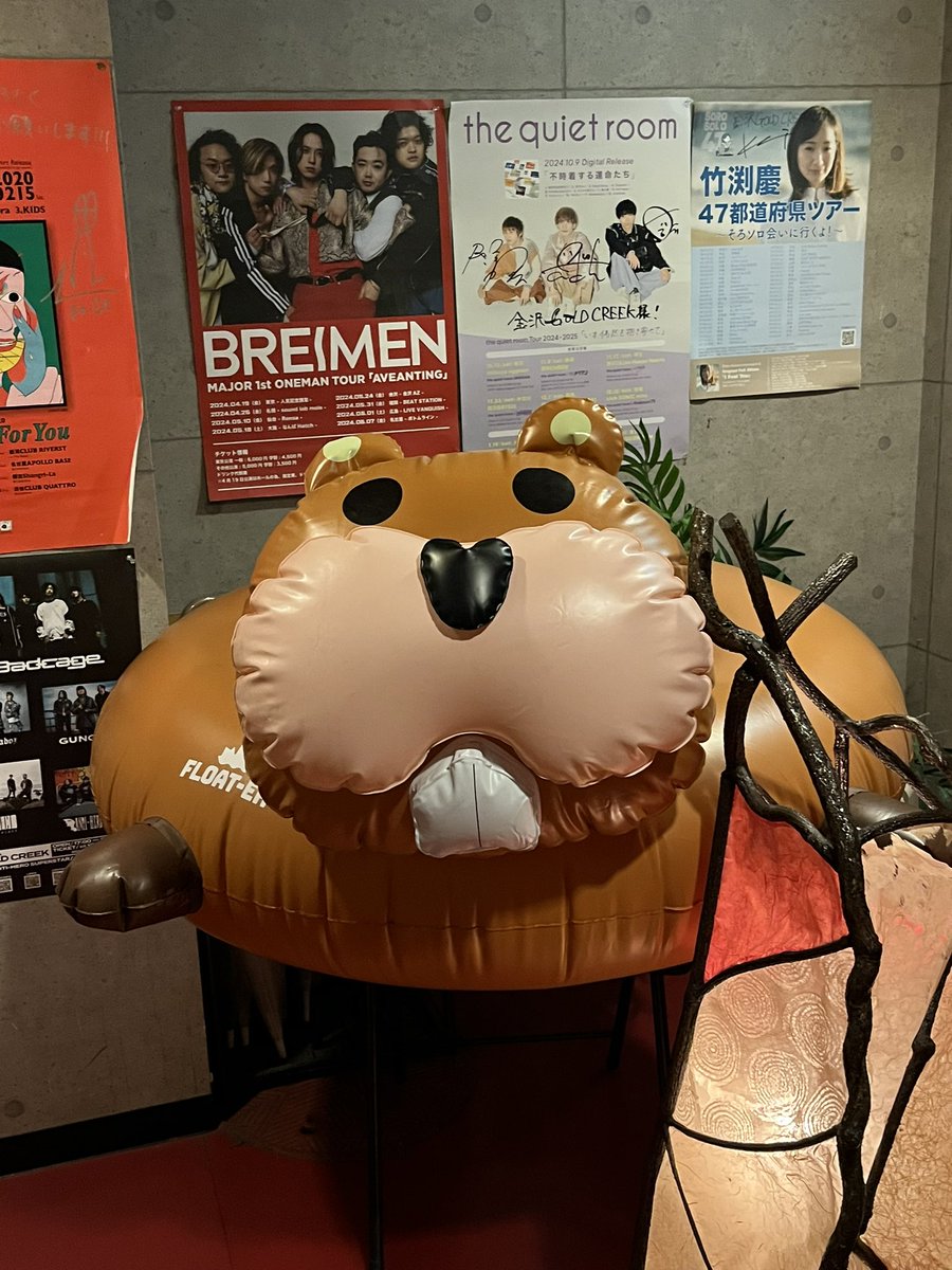おとぼけビ〜バ〜@金沢
開演間際に入ったらメンバーがゾロゾロ出て来てびっくり仰天、フリーズした
不審なおばさんですみません

#おとぼけビーバー
#otobokebeaver