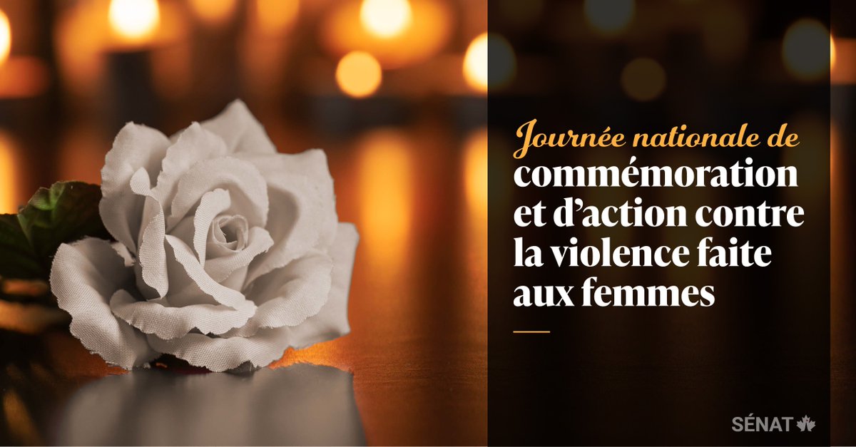 L’événement tragique du 6 décembre 1989, qui a entrainé l’assassinat de 14 femmes à Polytechnique Montréal, est aujourd’hui une journée de sensibilisation et de changement contre la violence fondée sur le sexe. 

Prenons le temps de se souvenir des 14 jeunes femmes décédées à