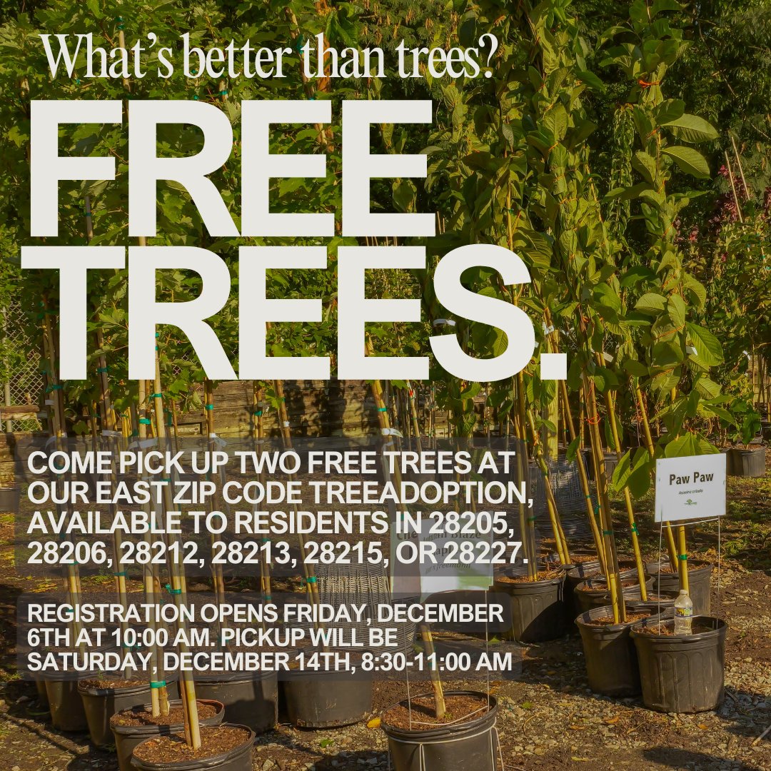 treescharlotte tweet media