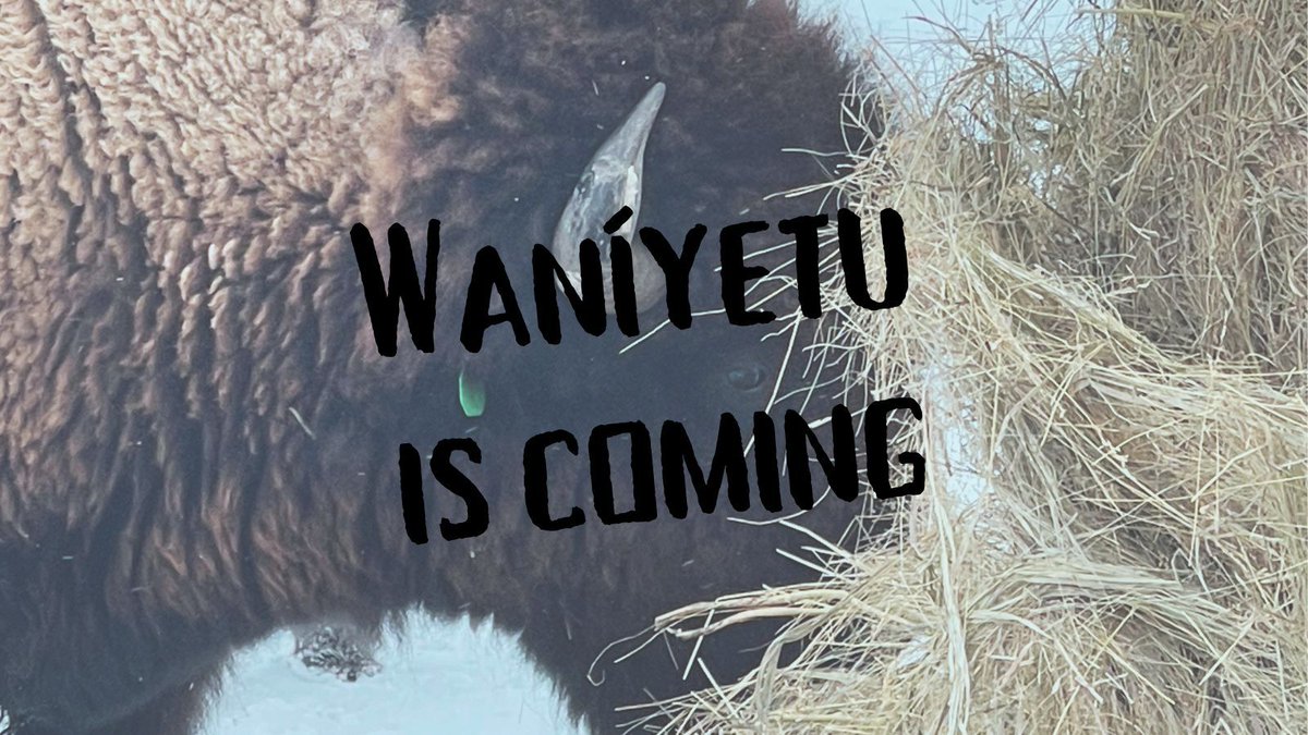 One Spirit tweet media