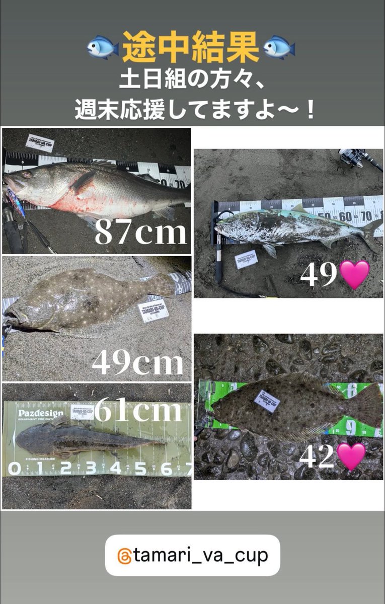 tamari_va's tweet photo. 🐟タマリバカップ🐟
途中結果でーす‼️

#タマリバ
#タマリバカップ https://t.co/rPqisH1phr